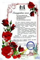 Благодарность А.С. Соколову и А.Чубачину от врио директора Центра социальной поддержки граждан