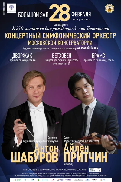 Айлен Притчин (скрипка)