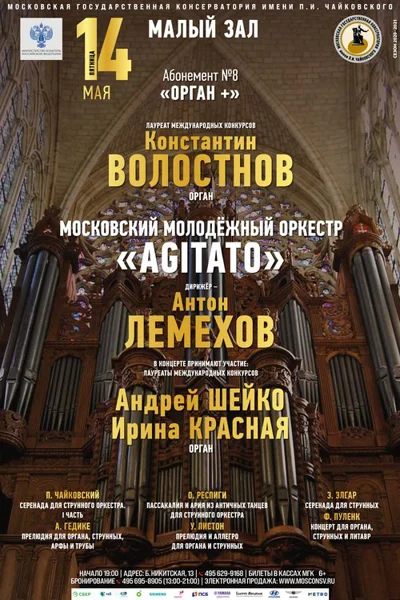 Константин Волостнов (орган)
