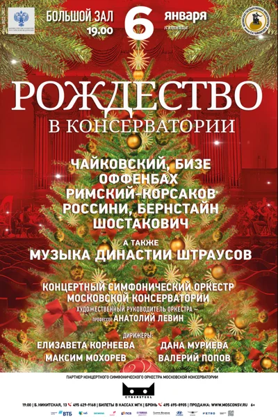 Рождество в консерватории